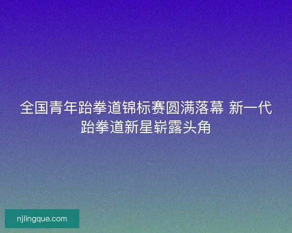 全国青年跆拳道锦标赛圆满落幕 新一代跆拳道新星崭露头角